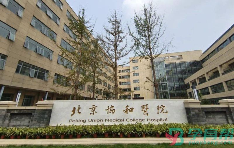 北京协和医院生殖中心