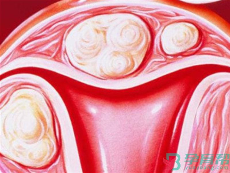 子宫内膜厚影响试管移植怎么办