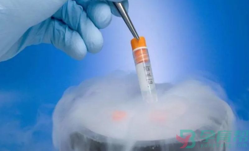 试管移植首选鲜胚移植还是囊胚移植