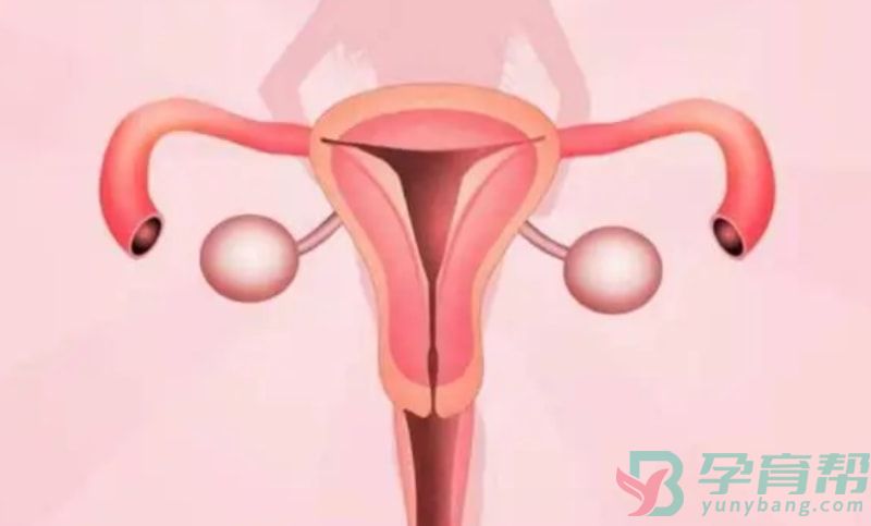 45岁卵巢早衰还能做试管婴儿吗？有怀孕成功的希望吗？