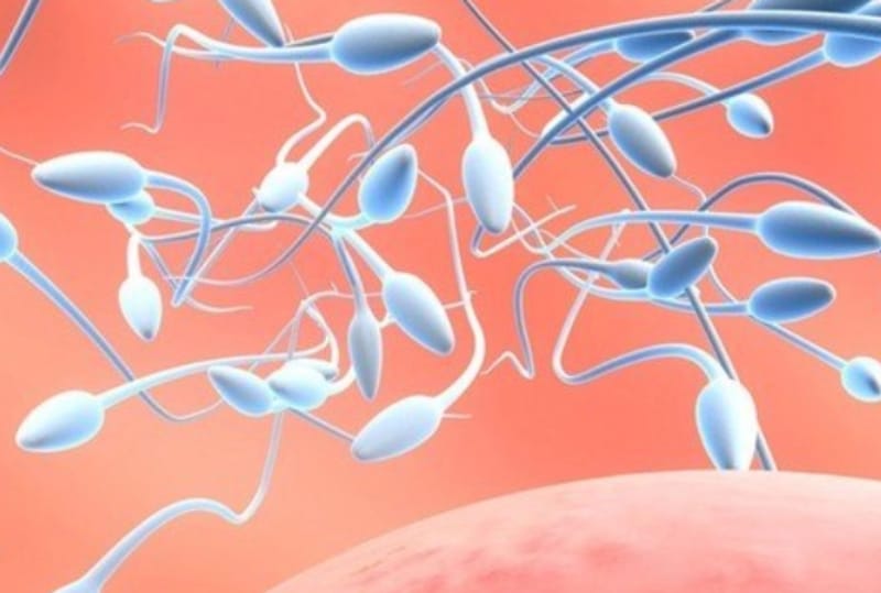 取精后精子恢复多长时间才能备孕(图1)