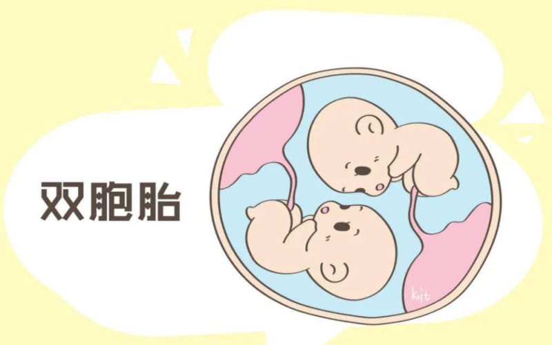 试管婴儿可以选择双胞胎吗