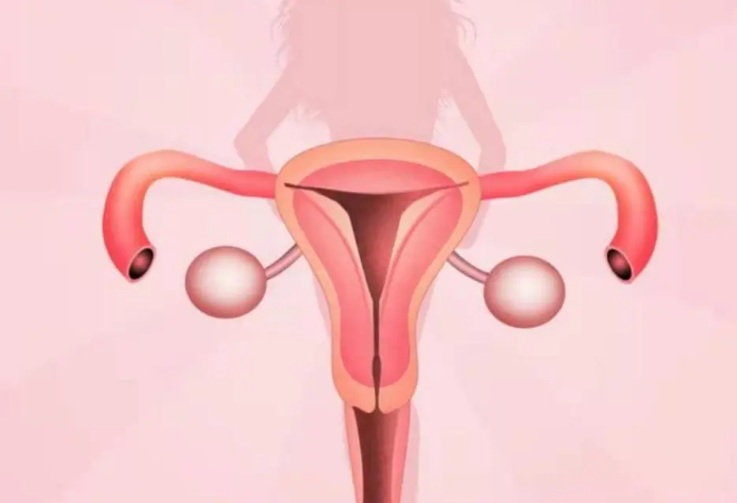 子宫内膜0.5且基础卵泡太少，该如何改善？