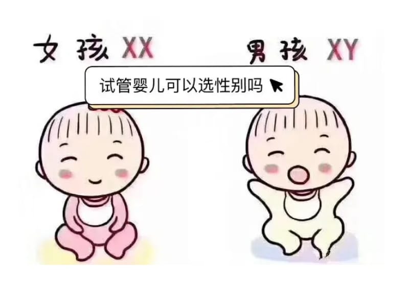郑州试管婴儿可以选择男女性别吗?