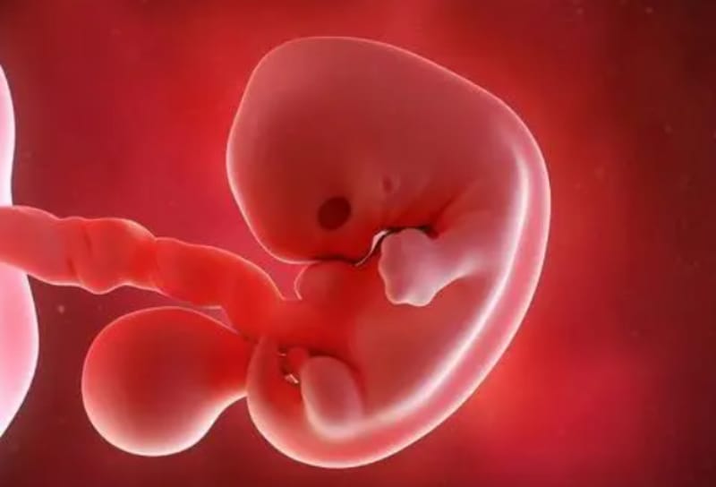 怀孕第三周胎儿发育情况，孕妈身体变化(图1)