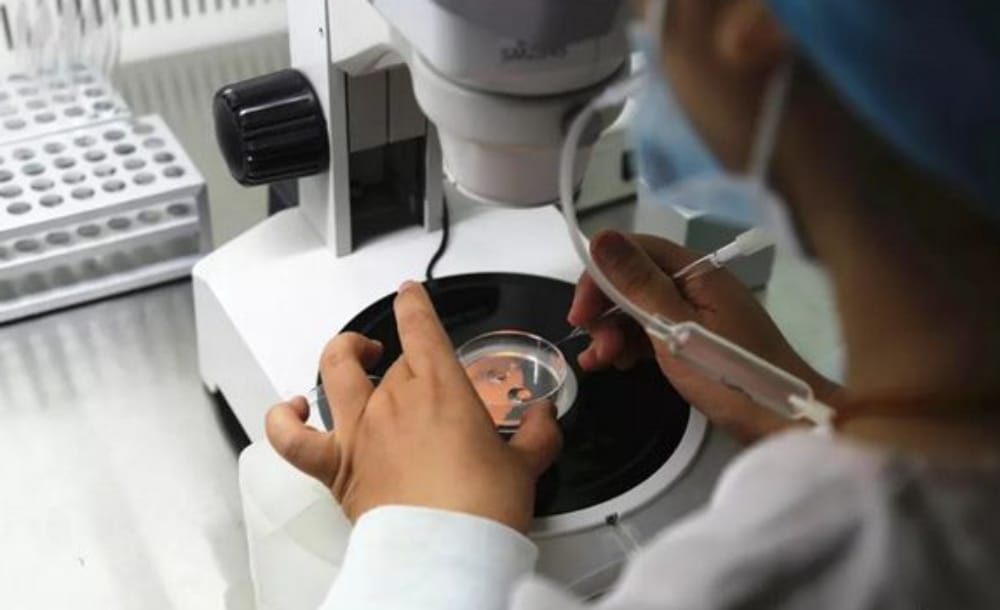 第三代试管胚胎筛查不会对胚胎质量造成影响，无需过度担忧。