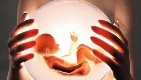 有宫外孕史做试管移植哪种胚胎更好？