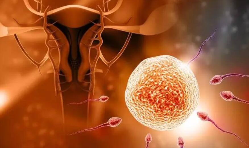 结核性输卵管堵塞能做试管吗有影响吗？