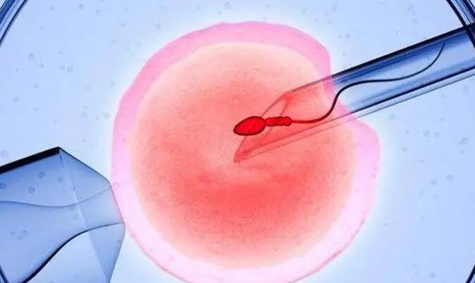 输卵管结扎手术后多久可以试管移植冻胚囊胚？