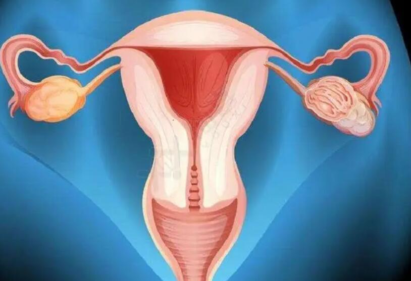 输卵管结核能自然受孕吗做试管能成功吗？