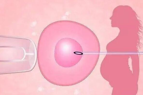 多囊卵巢者做试管容易怀孕吗？成功率有多高？(图1)