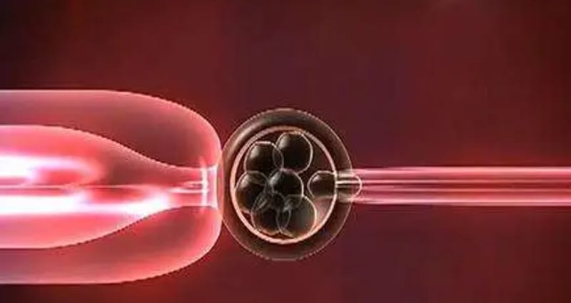 试管婴儿取卵后多久进行囊胚移植(图1)