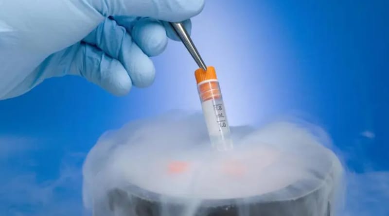 赴泰做试管婴儿适合做冻胚移植的人群
