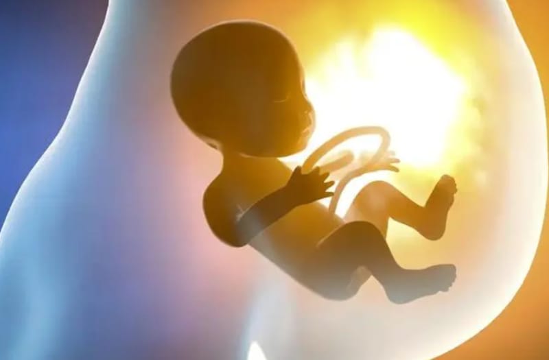 胎儿是如何获取营养的？胎儿与妈妈抢营养居然是爸爸的原因。