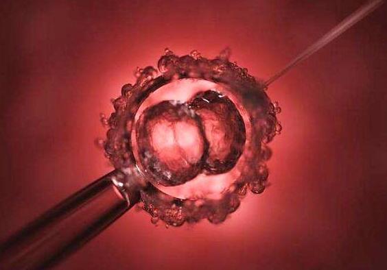 宫腔粘连移植囊胚注意什么事项？(图1)