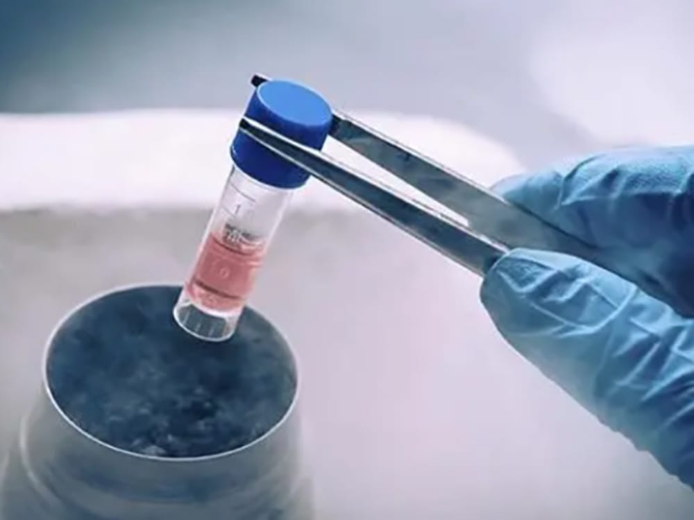 梅州市人民医院冷冻胚胎收费标准，解冻生第二胎费用分享