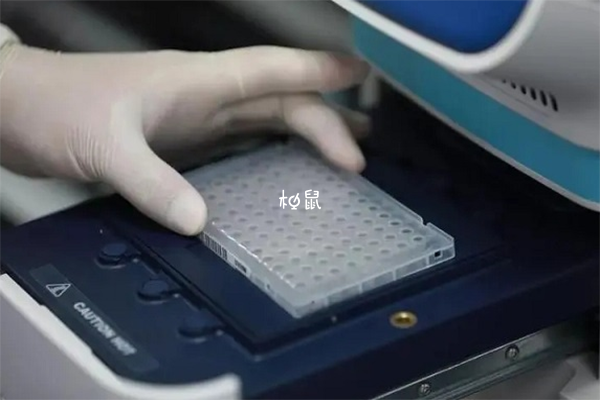 重庆妇幼三代试管花费一览，胚胎筛选准备多少钱不迷茫