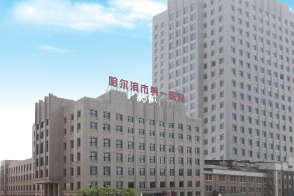 哈尔滨市第一医院医生排名表，妇科杨丹主任口碑医术俱佳(图1)
