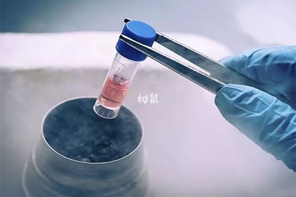 宜昌中心人民医院冷冻胚胎价目表，冻卵保存一年费用不贵(图1)