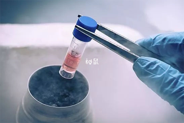 荆州中心医院冷冻胚胎怎么收费，5枚囊胚保存一年需六千元
