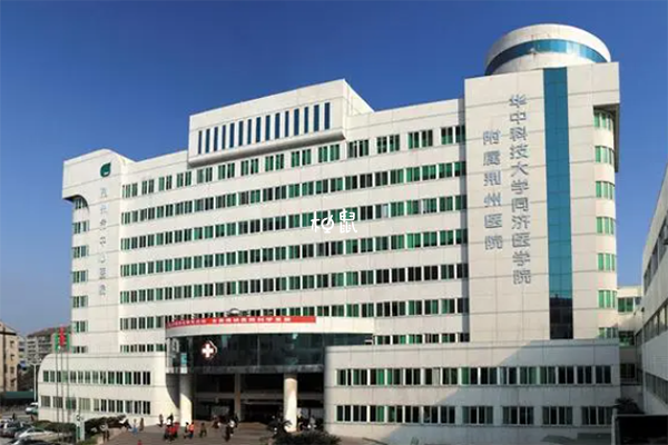 荆州中心医院能不能做供卵试管，所需等待时间及费用一览