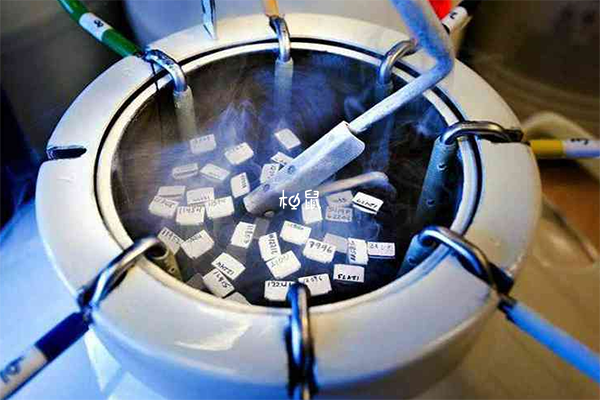 宜春人民医院冷冻胚胎收费标准，解冻后移植成功率高不高