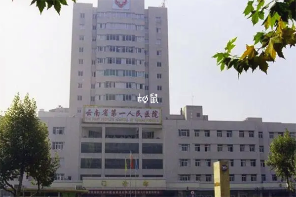 云南省一医院一代试管成功率参考，移植鲜胚、囊胚有区别